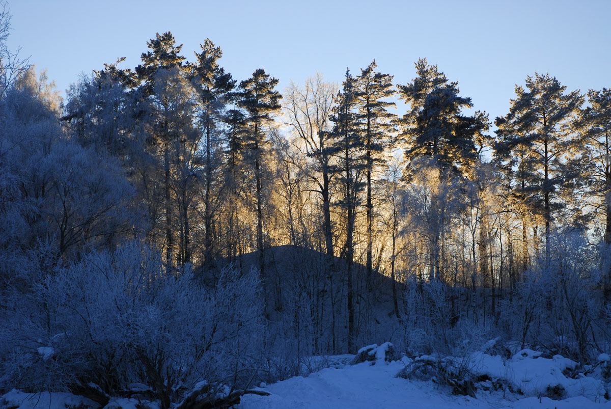 Городище Брыкин Бор