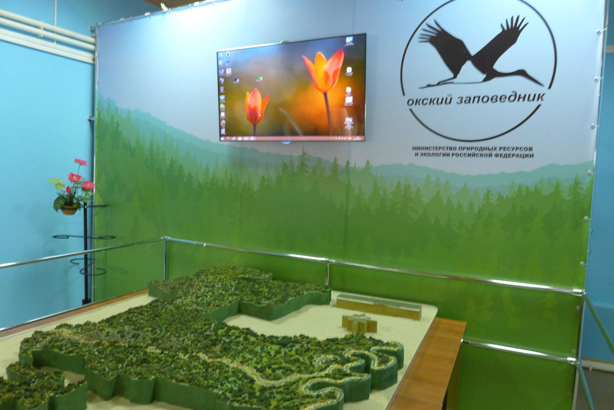 Макет заповедника в визит-центре