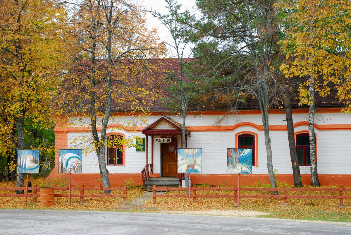 Музей природы