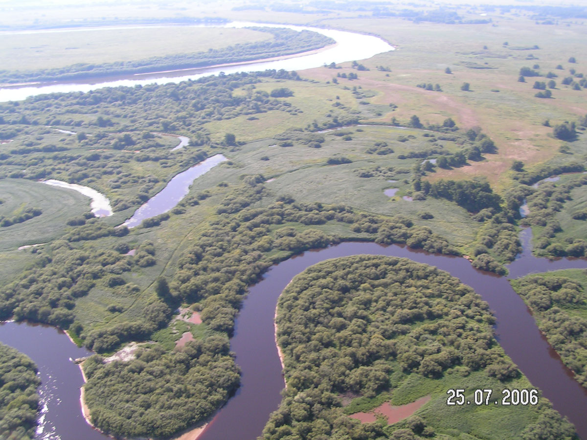Пойма р. Ока в районе устья р. Пра
