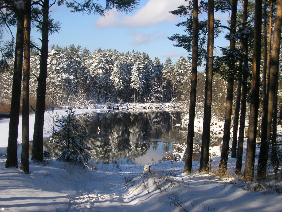 Пра в ноябре