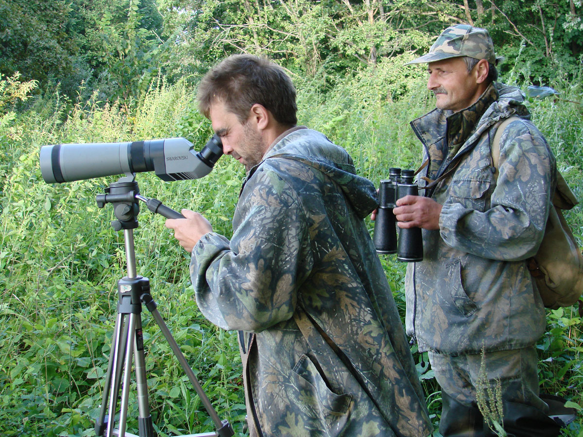 Учёт водоплавающих птиц