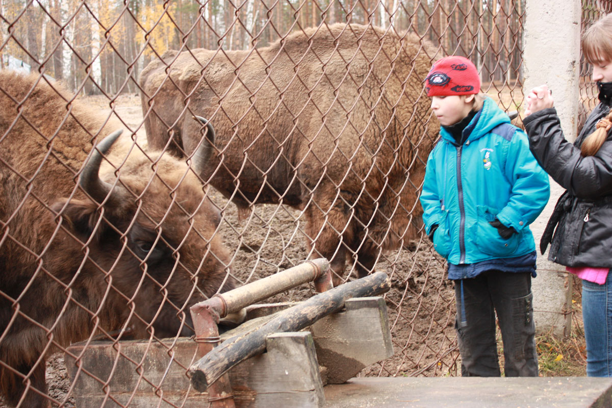 Экскурсия на зубровый питомник