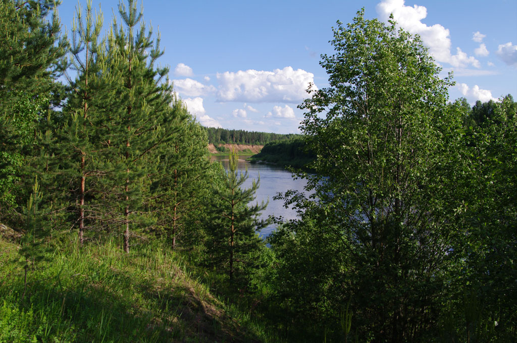 Река Унжа и окрестности старого Кологрива