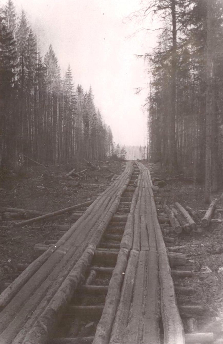 Лежневая автодорога