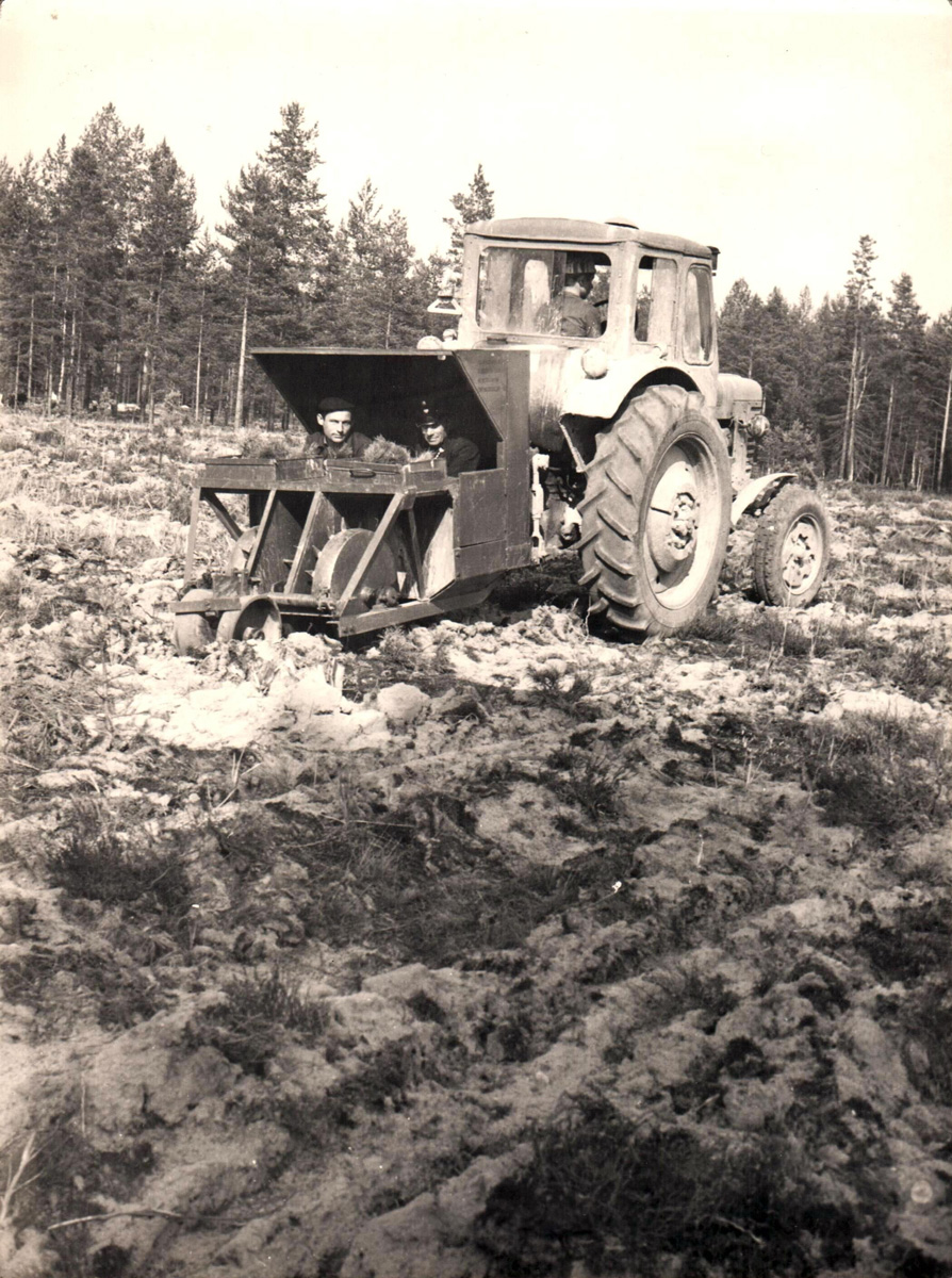 Механизированная посадка леса