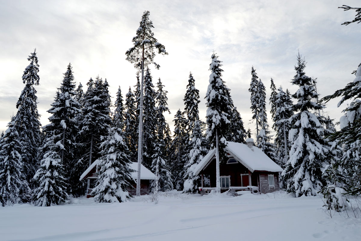 Лесной кордон Охтома, о. Водлозеро, автор ст.гос.инспектор Елена Николаевна Холодова