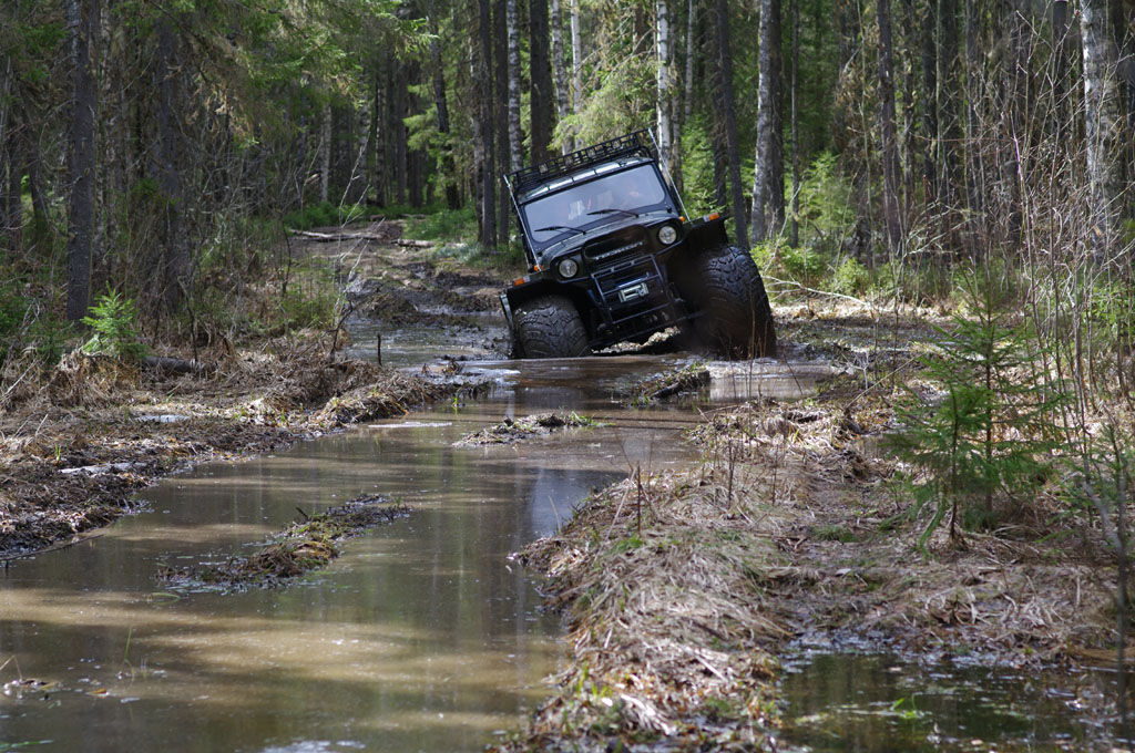Ранней весной в охранной зоне заповедника