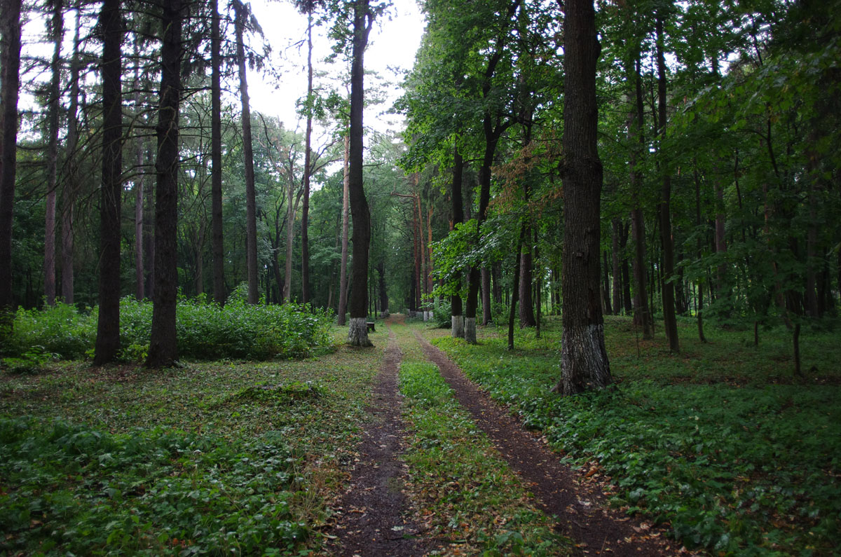Дендропарк в Ерлино