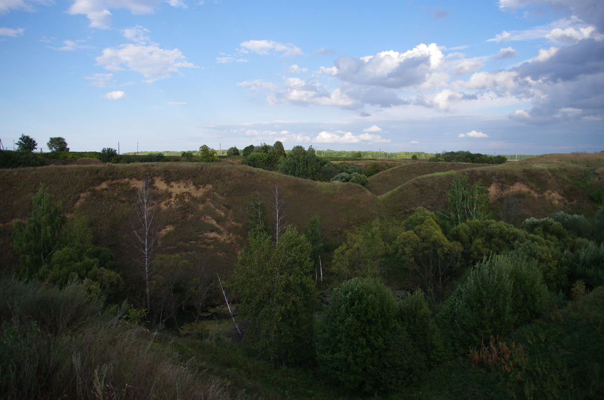 На раскопках в Старой Рязани