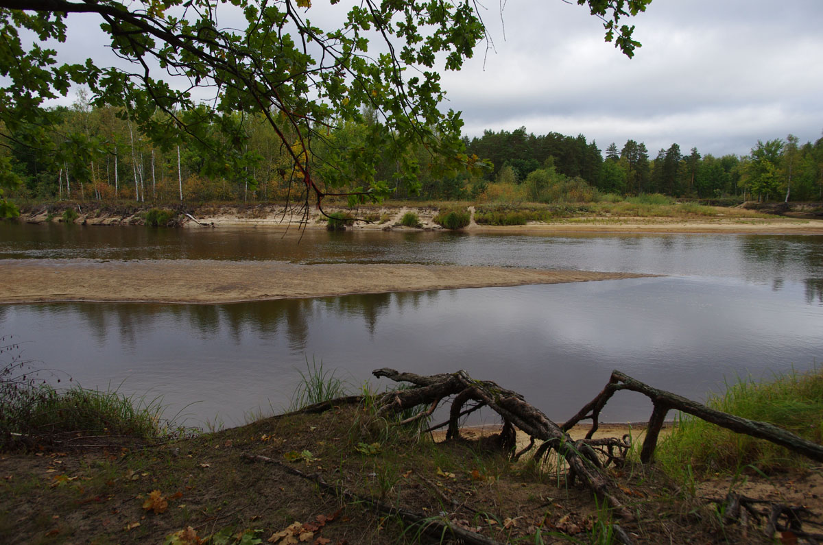 В заповеднике