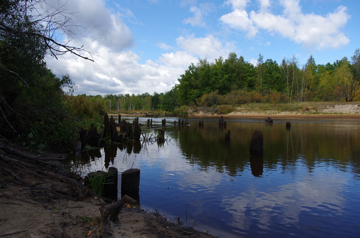 В заповеднике