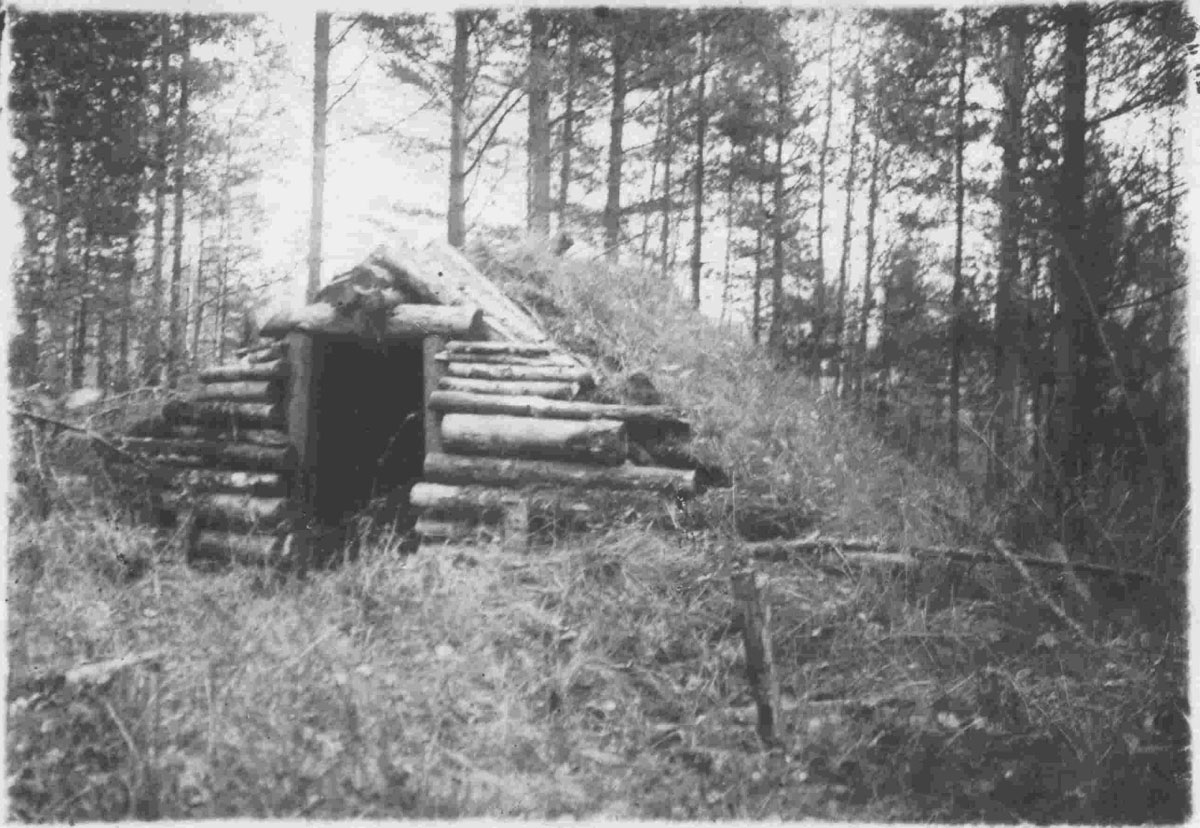 Штабная землянка 5-й Калининской партизанской бригады В.И. Марго в урочище Лоховня, 1948 г.
